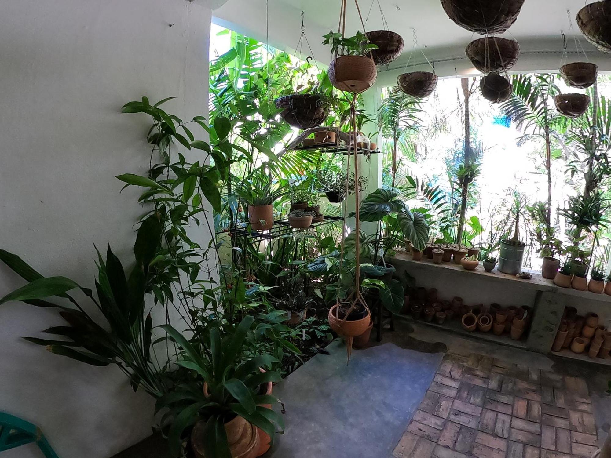 Casa Flor Flat Superior, Vila de Ponta Negra Natal Exterior foto