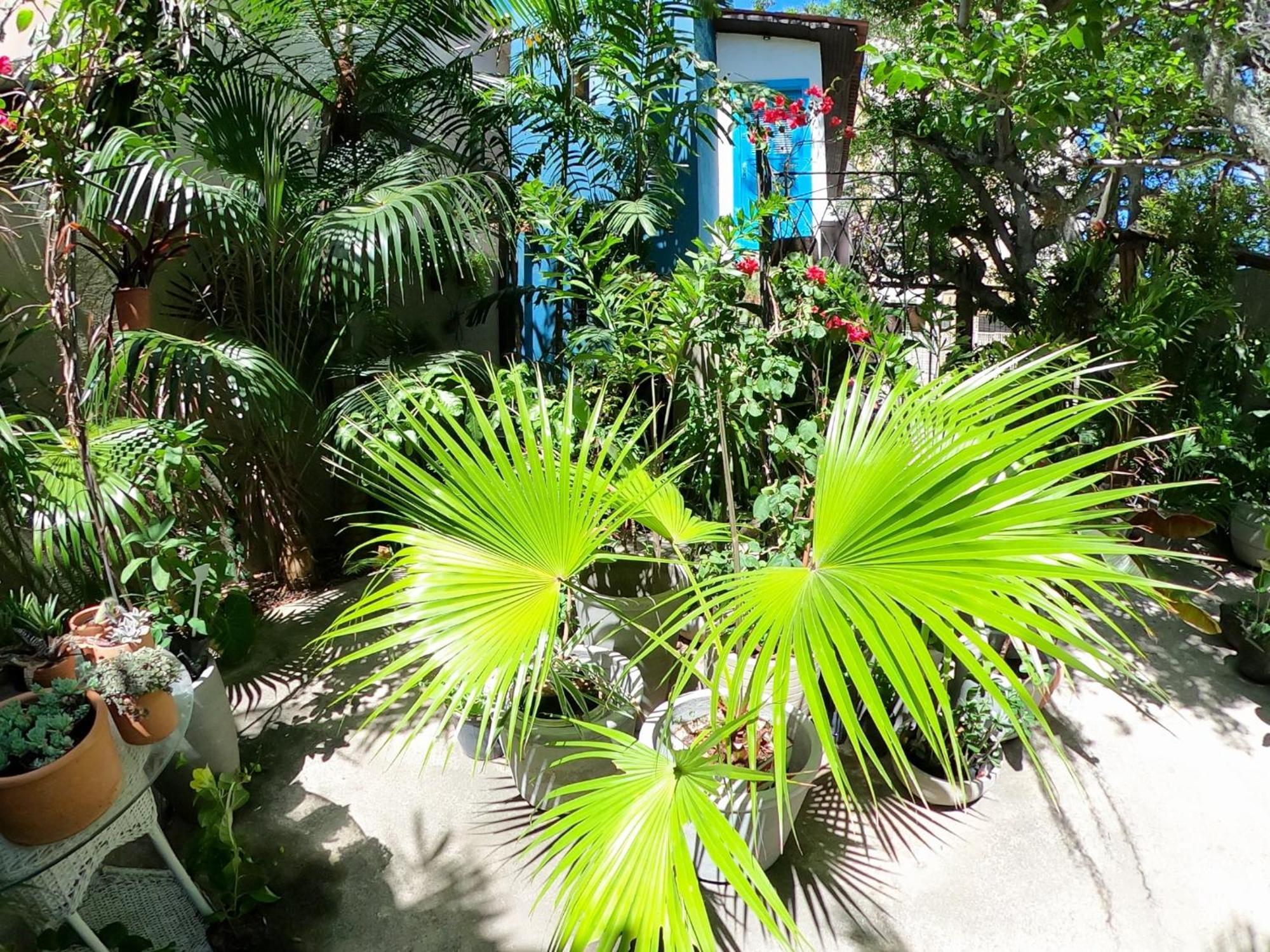 Casa Flor Flat Superior, Vila de Ponta Negra Natal Exterior foto